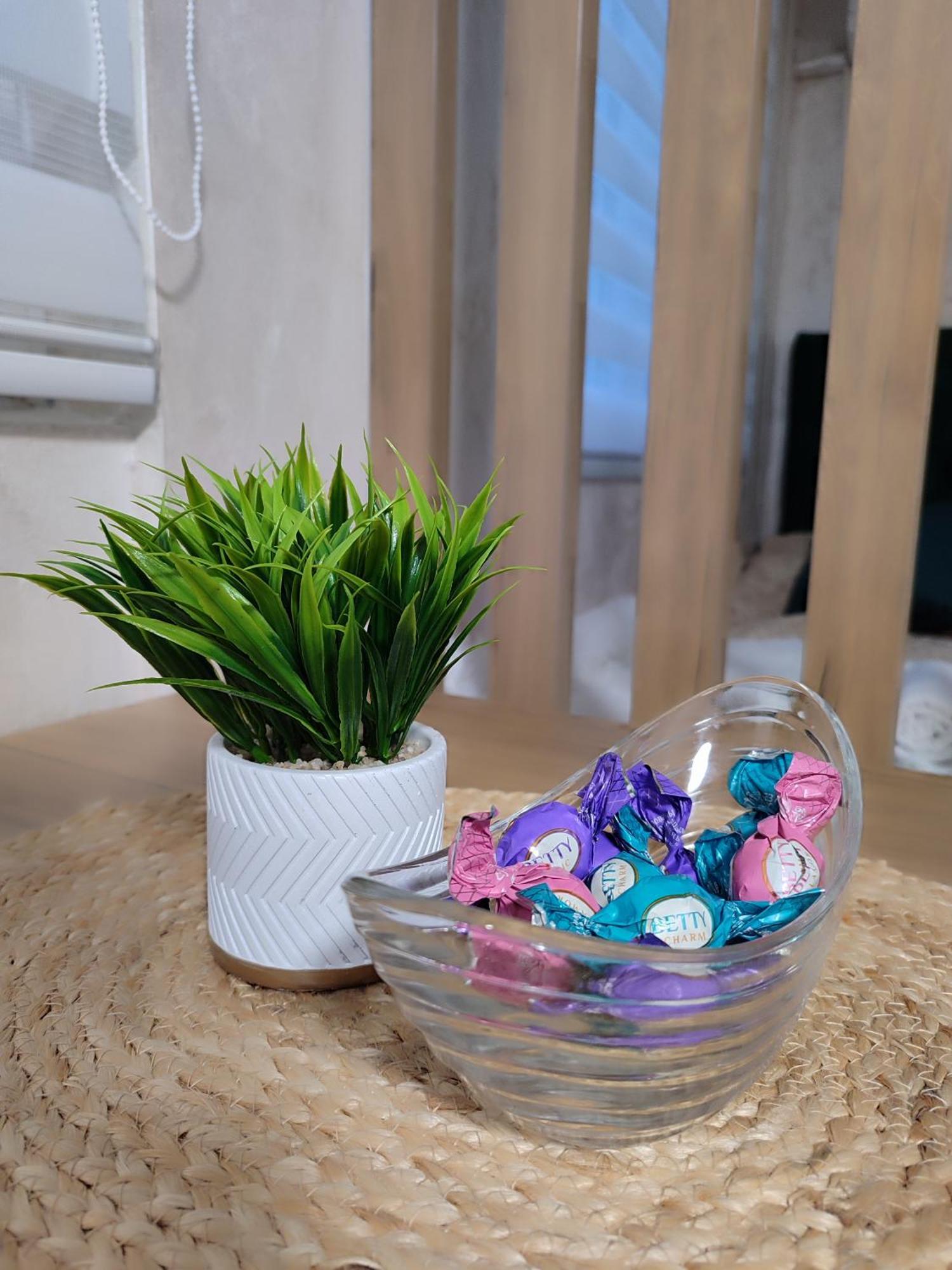 Studio Apartman Free Parking Rubikon 베오그라드 객실 사진